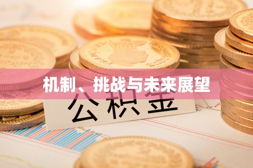 宣威机制、挑战与未来展望